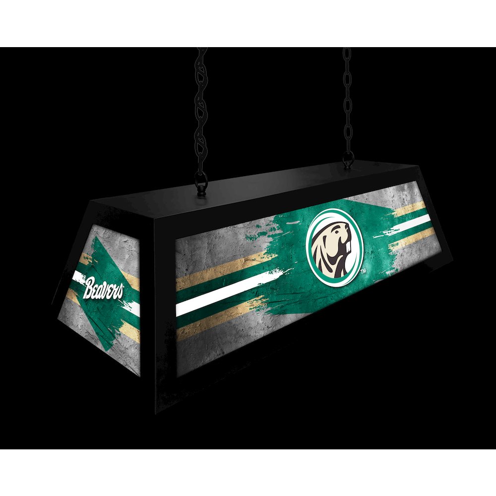 Bemidji State University Long Box Billiard Light