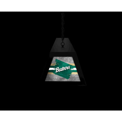 Bemidji State University Long Box Billiard Light