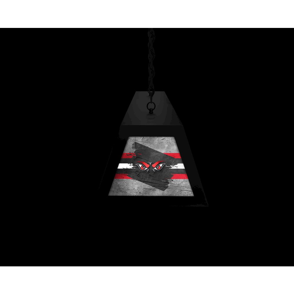 University of Cincinnati Long Box Billiard Light