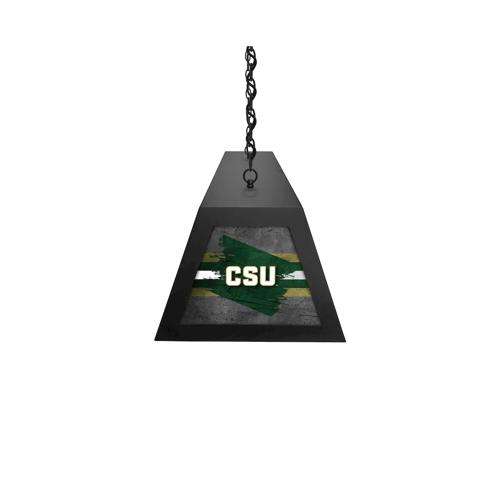 Colorado State University Long Box Billiard Light