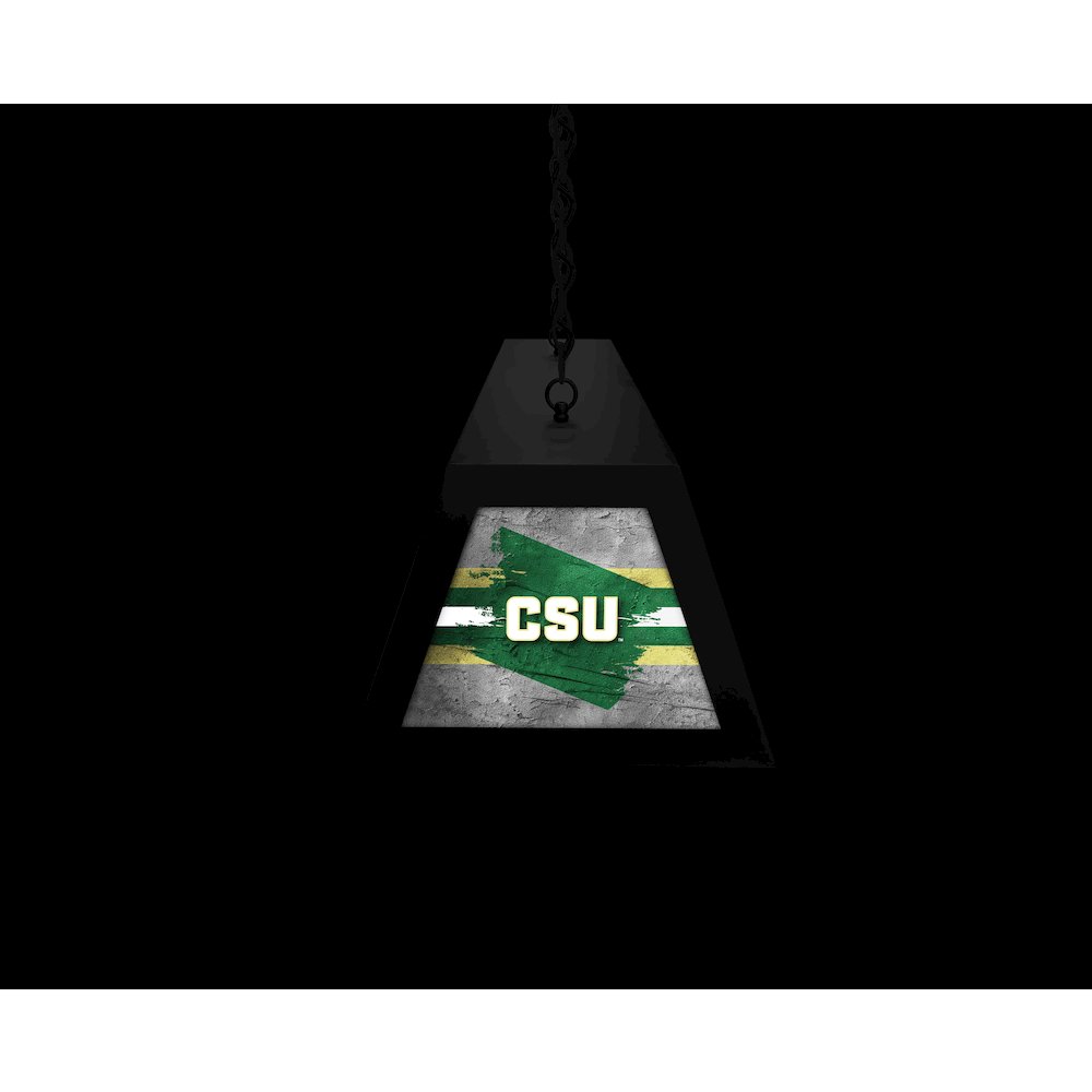 Colorado State University Long Box Billiard Light
