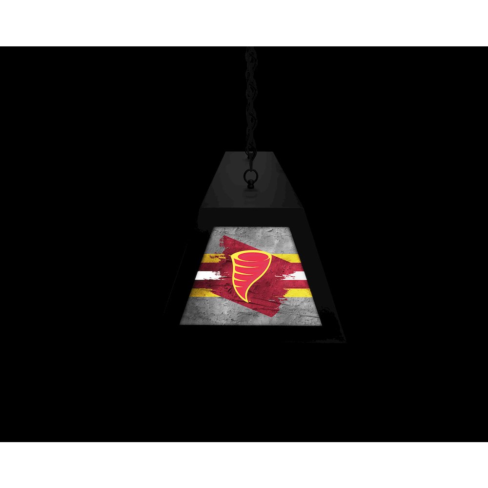 Iowa State University Long Box Billiard Light