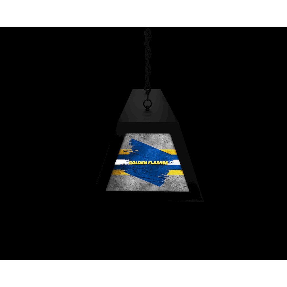 Kent State University Long Box Billiard Light