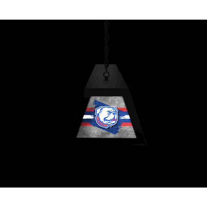 Louisiana Tech University Long Box Billiard Light
