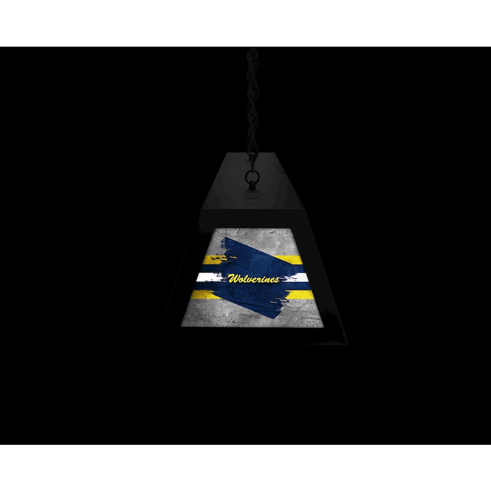 University of Michigan Long Box Billiard Light