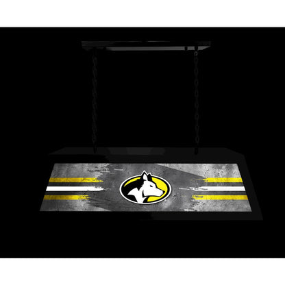 Michigan Tech University Long Box Billiard Light