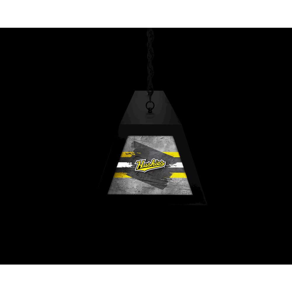 Michigan Tech University Long Box Billiard Light