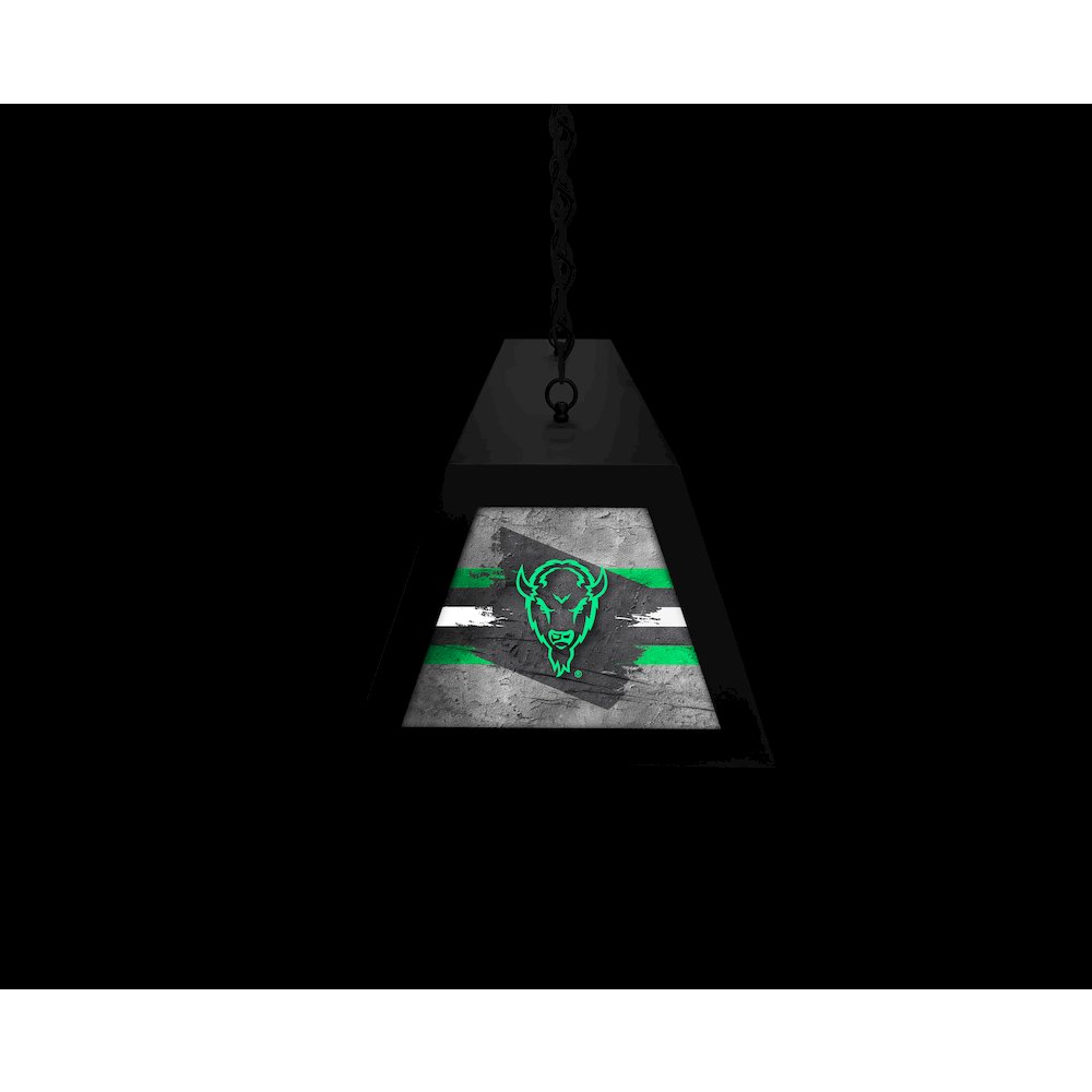 Marshall University Long Box Billiard Light