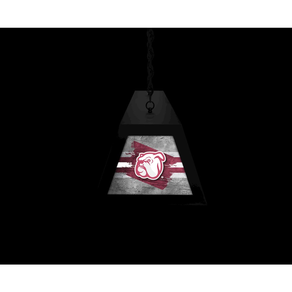Mississippi State University Long Box Billiard Light
