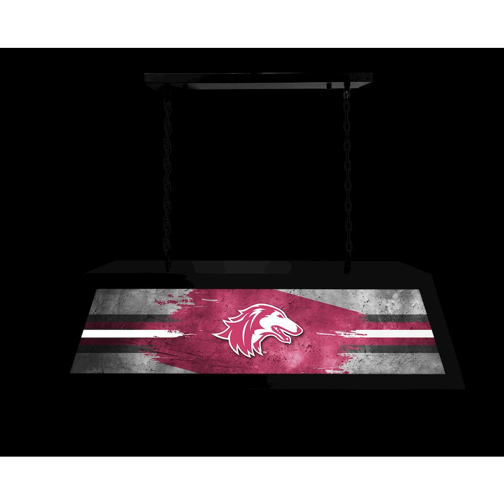 Southern Illinois University Long Box Billiard Light