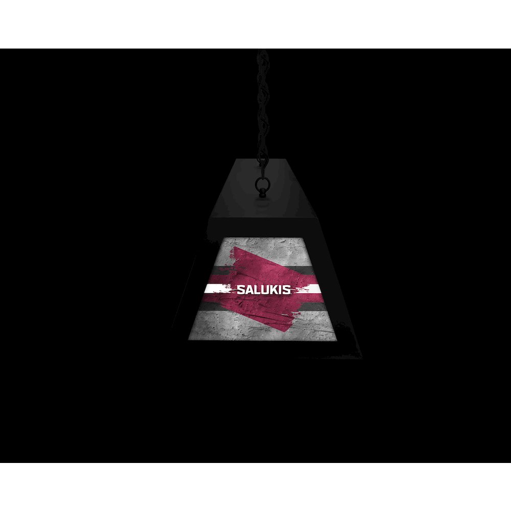 Southern Illinois University Long Box Billiard Light