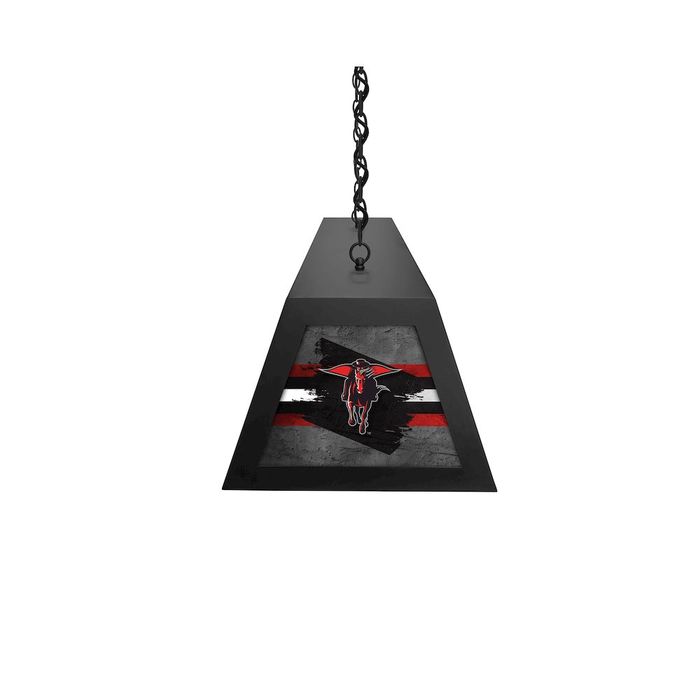 Texas Tech University Long Box Billiard Light