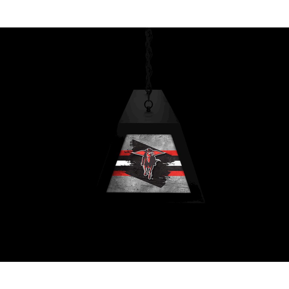 Texas Tech University Long Box Billiard Light