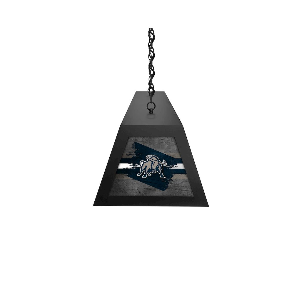 Utah State University Long Box Billiard Light