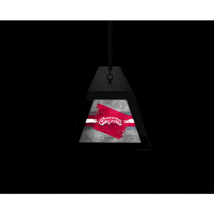 Washington State University Long Box Billiard Light