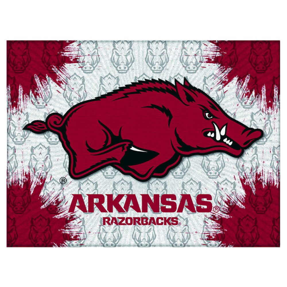 Arkansas 15" x 20" Officially Licensed Logo Canvas