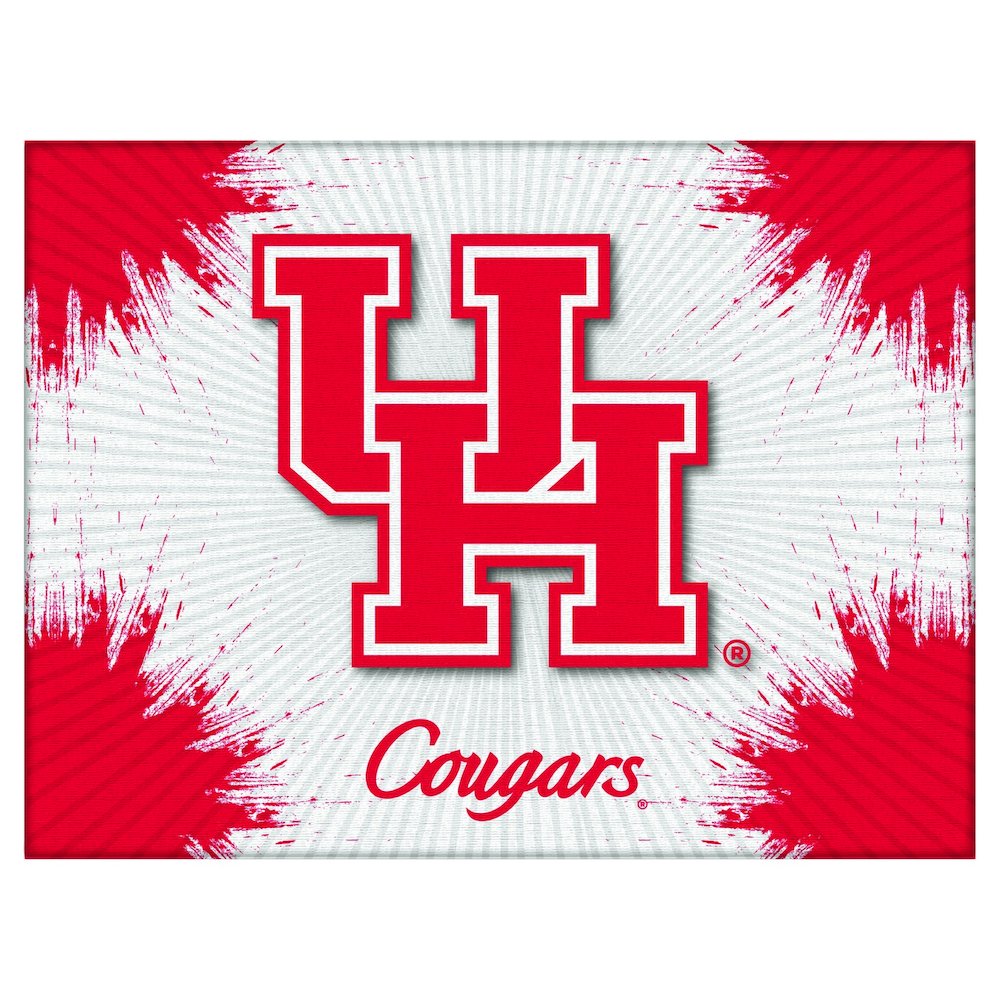 Houston 15" x 20" Officially Licensed Logo Canvas
