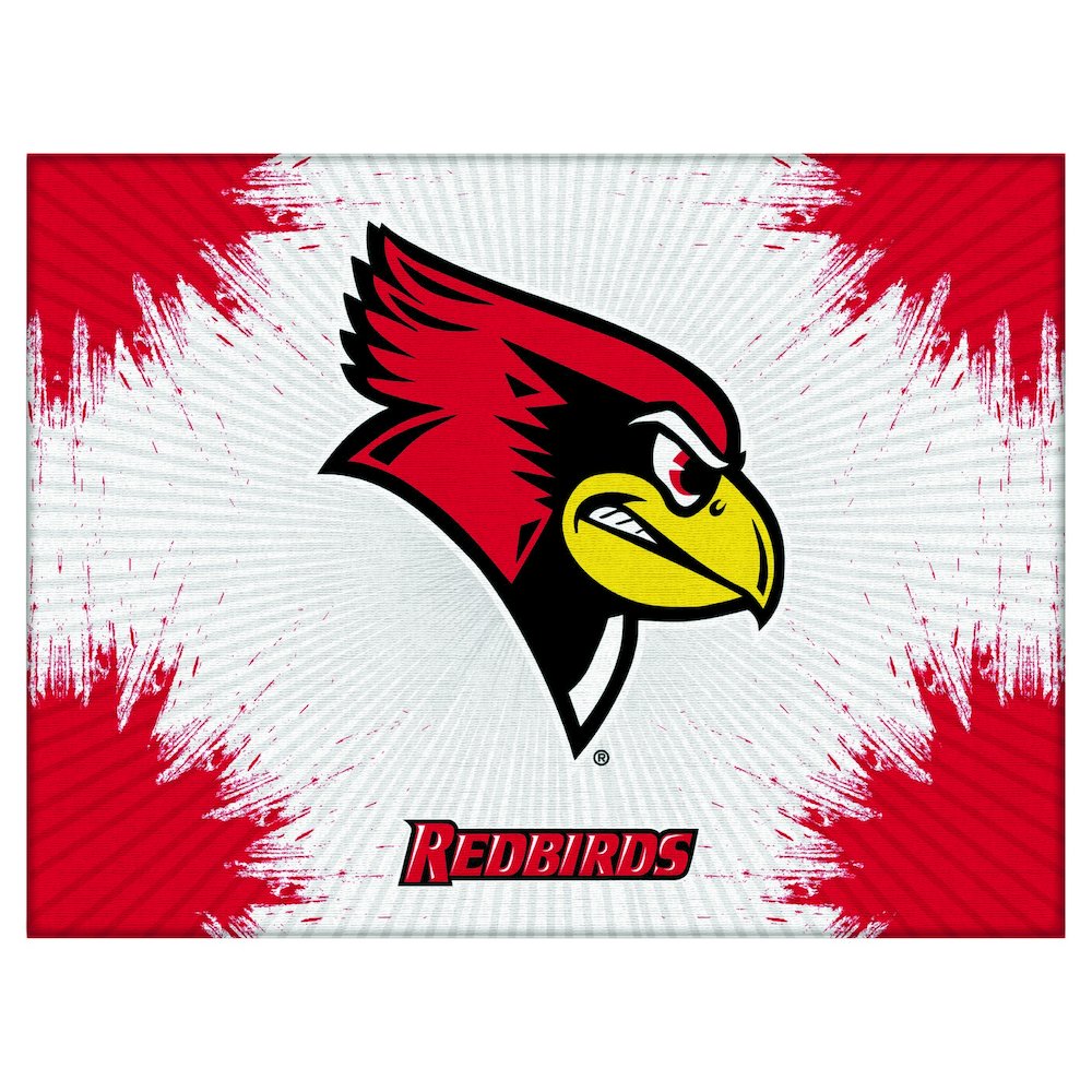 Illinois State 15" x 20" Officially Licensed Logo Canvas