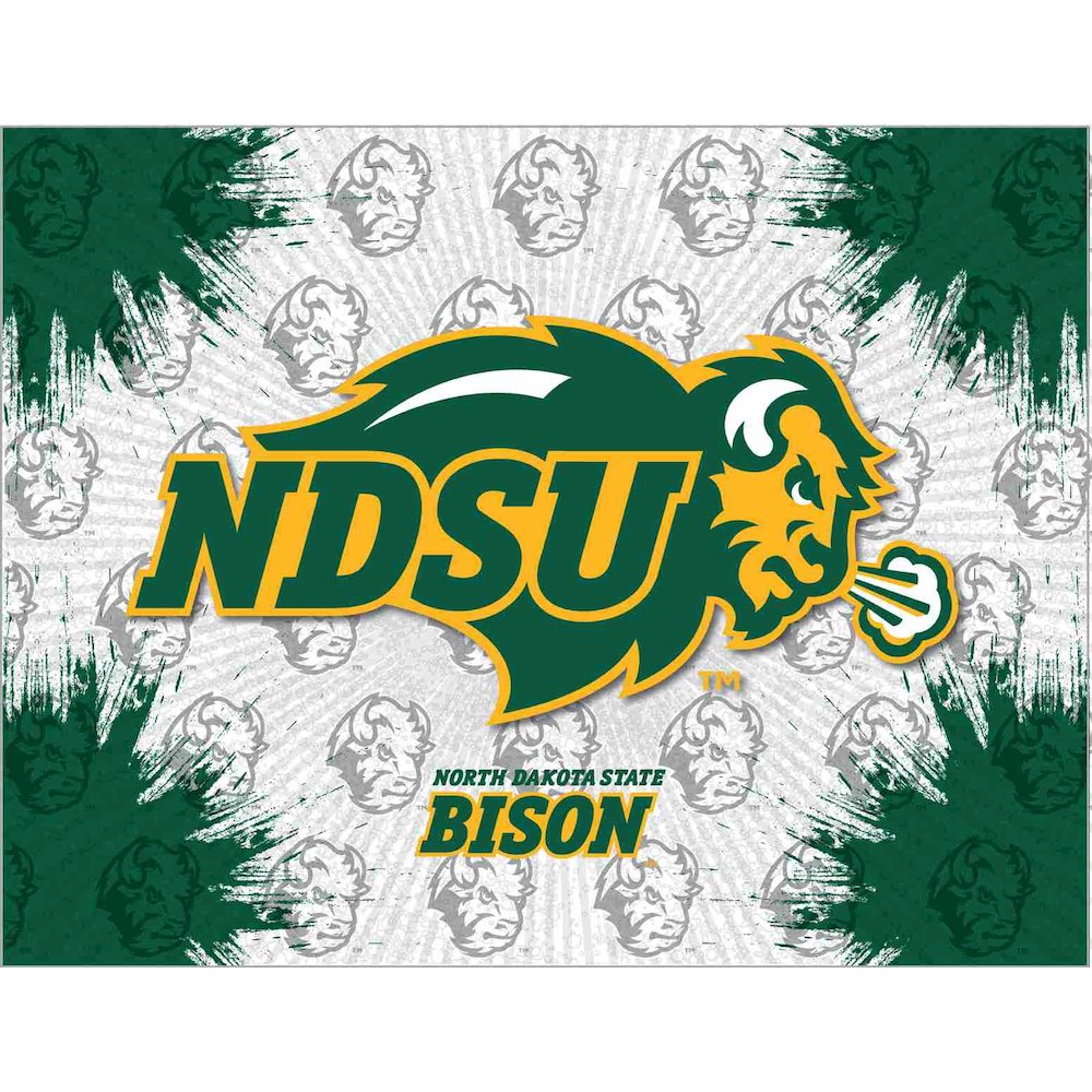 North Dakota State 15" x 20" Officially Licensed Logo Canvas