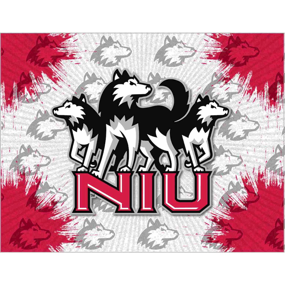 Northern Illinois 15" x 20" Officially Licensed Logo Canvas