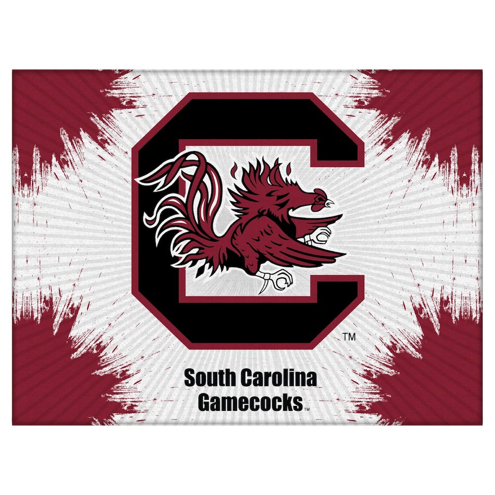South Carolina 15" x 20" Officially Licensed Logo Canvas