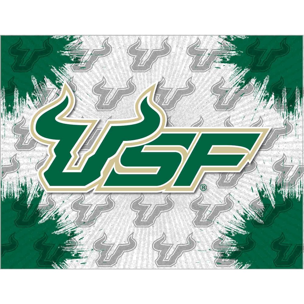 South Florida 15" x 20" Officially Licensed Logo Canvas