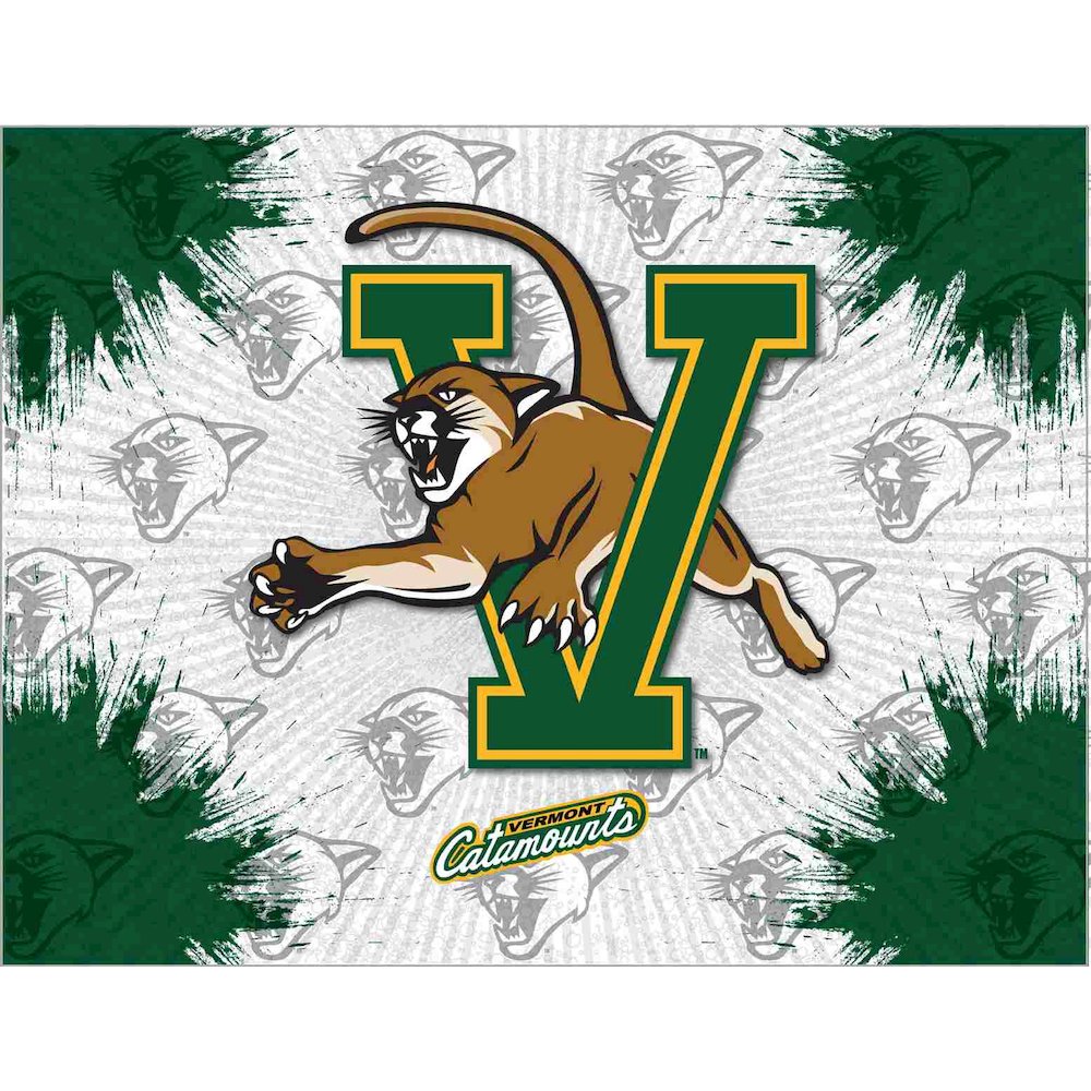 Vermont 15" x 20" Officially Licensed Logo Canvas