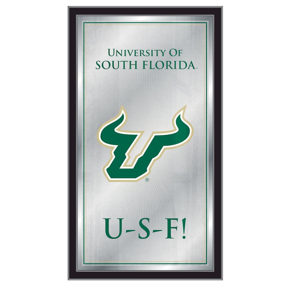 South Florida 26" x 15" Fight Song Mirror