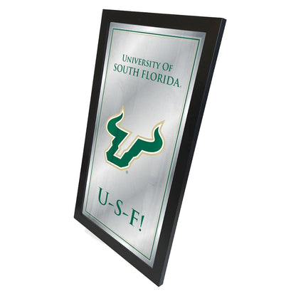 South Florida 26" x 15" Fight Song Mirror