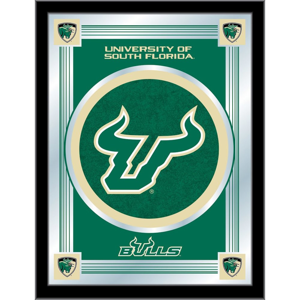 South Florida 17" x 22" Logo Mirror