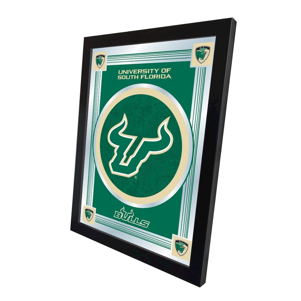 South Florida 17" x 22" Logo Mirror