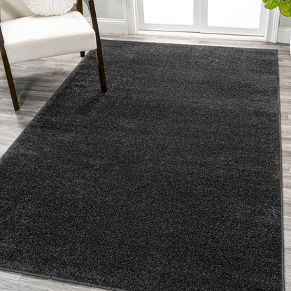 Haze Solid Low Pile Area Rug Black