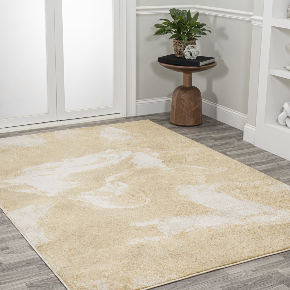 Petalo Abstract Two Tone Modern Area Rug