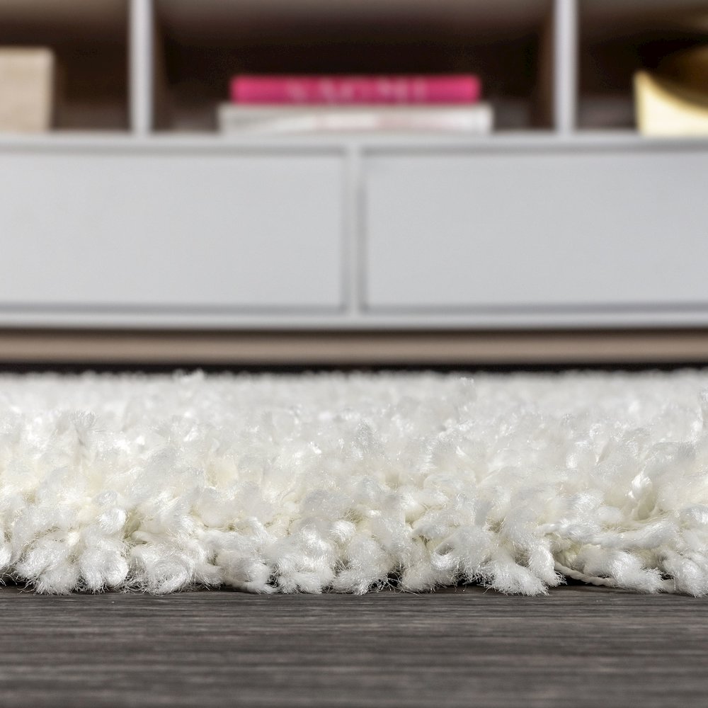 Mercer Shag Plush Area Rug