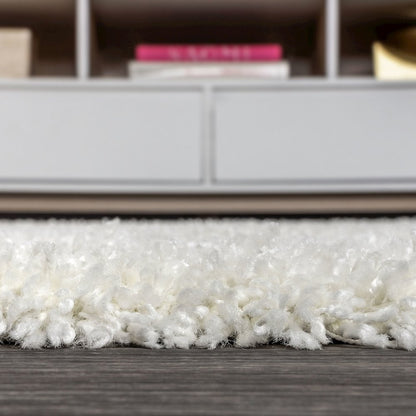 Mercer Shag Plush Area Rug