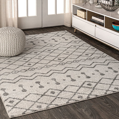 Aksil Moroccan Beni Souk Area Rug