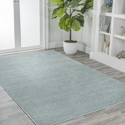 Haze Solid Low Pile Area Rug