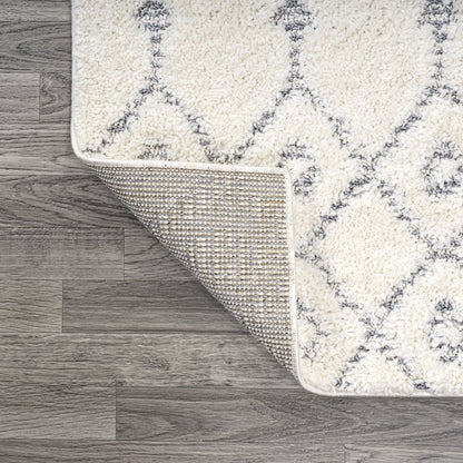 Pia Moroccan Trellis Plush Carved Area Rug