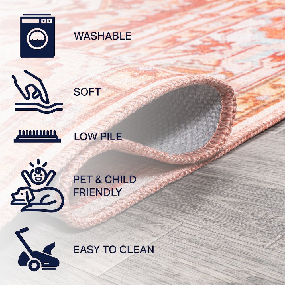 Asa Ornate Medallion Machine-Washable Area Rug