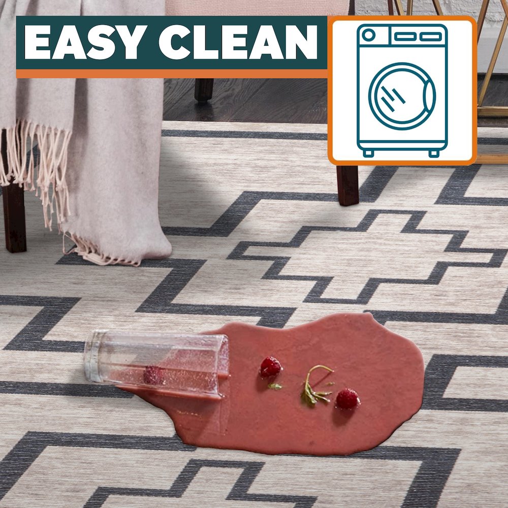Ashkii Minimalist Medallion Machine Washable Area Rug