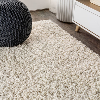 Mercer Shag Plush Area Rug
