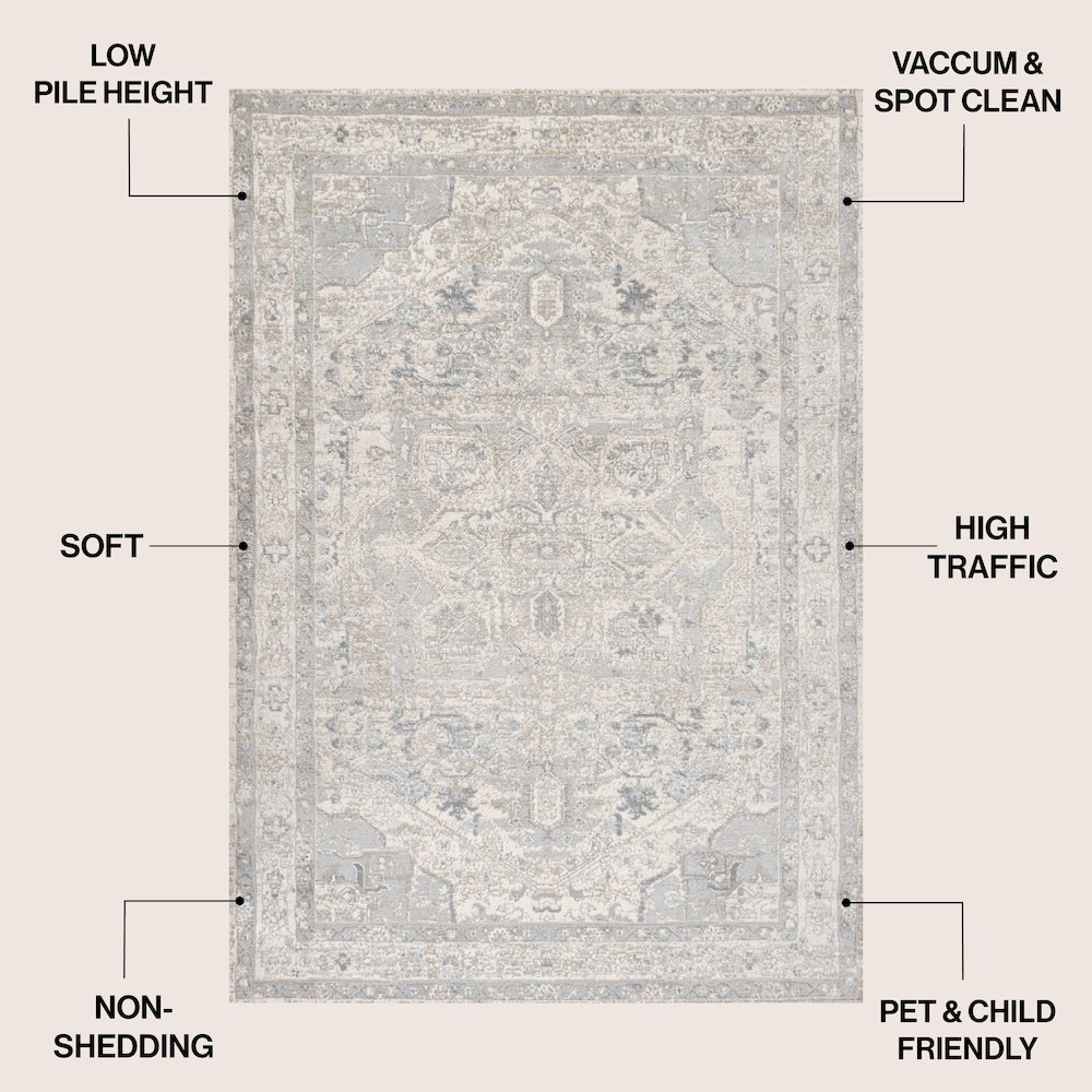 Modern Persian Vintage Medallion Cream/Light Area