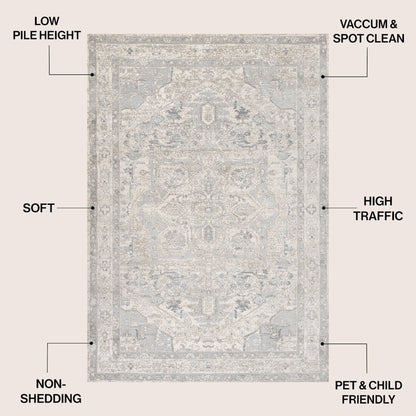 Modern Persian Vintage Medallion Cream/Light Area