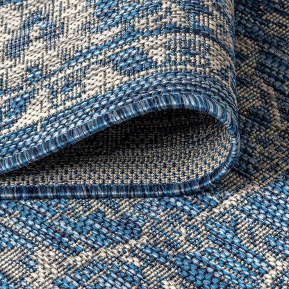 Palazzo Vine And Border Textured Weave Indoor/Outdoor Area Rug