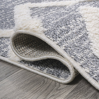 Monique Trellis High-Low Area Rug