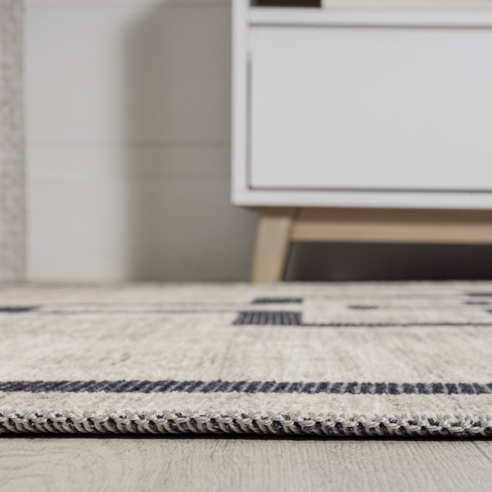 Ashkii Minimalist Medallion Machine Washable Area Rug