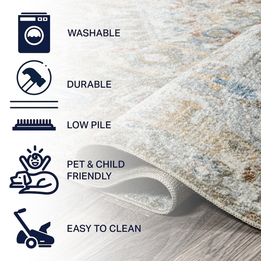 Shaemus Bohemian Medallion Low-Pile Machine-Washable Area Rug