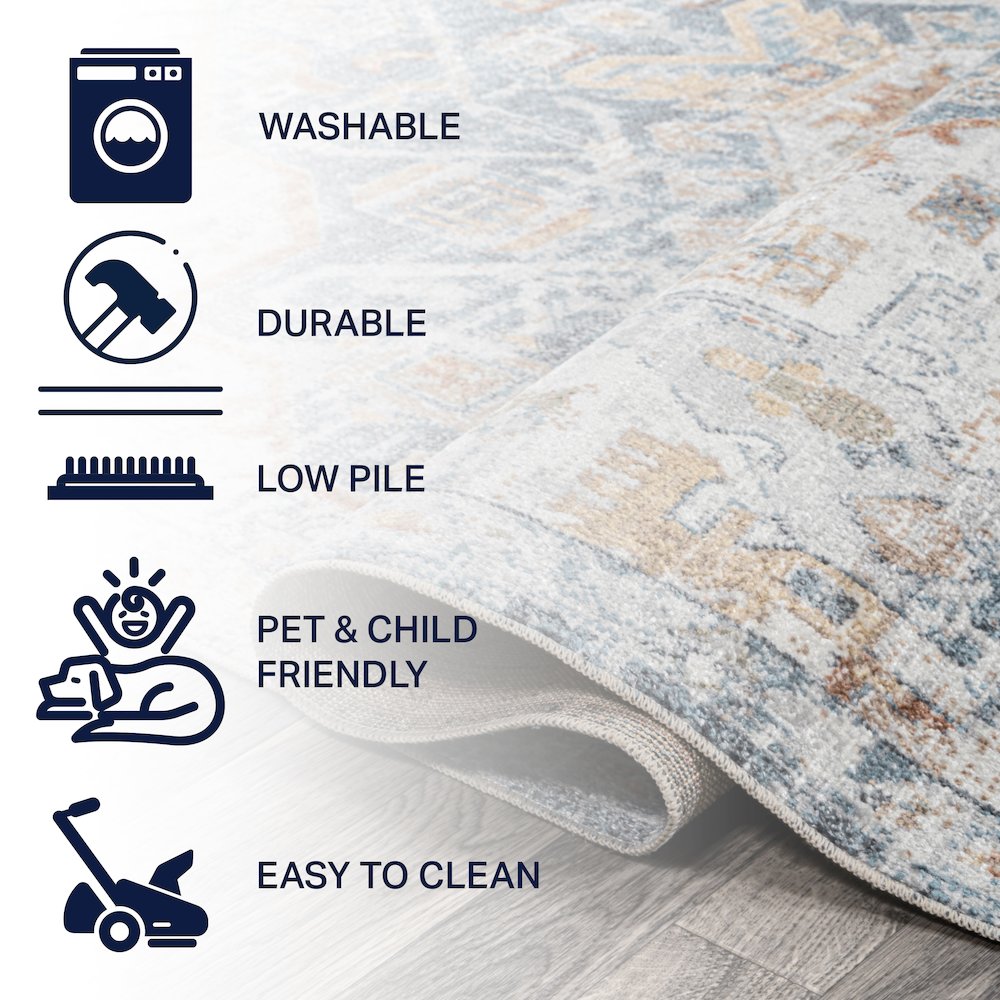 Shaemus Bohemian Medallion Low-Pile Machine-Washable Area Rug