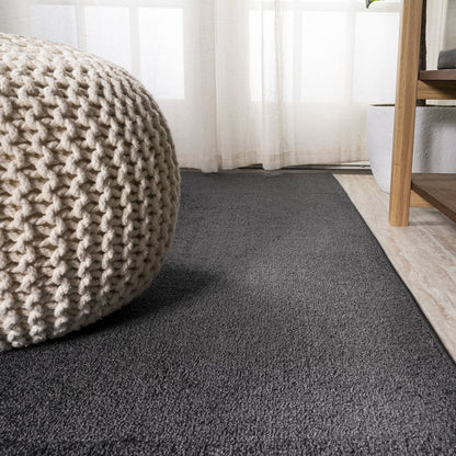 Haze Solid Low Pile Area Rug Black