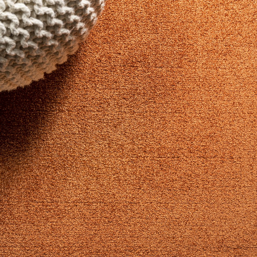 Haze Solid Low-Pile Area Rug